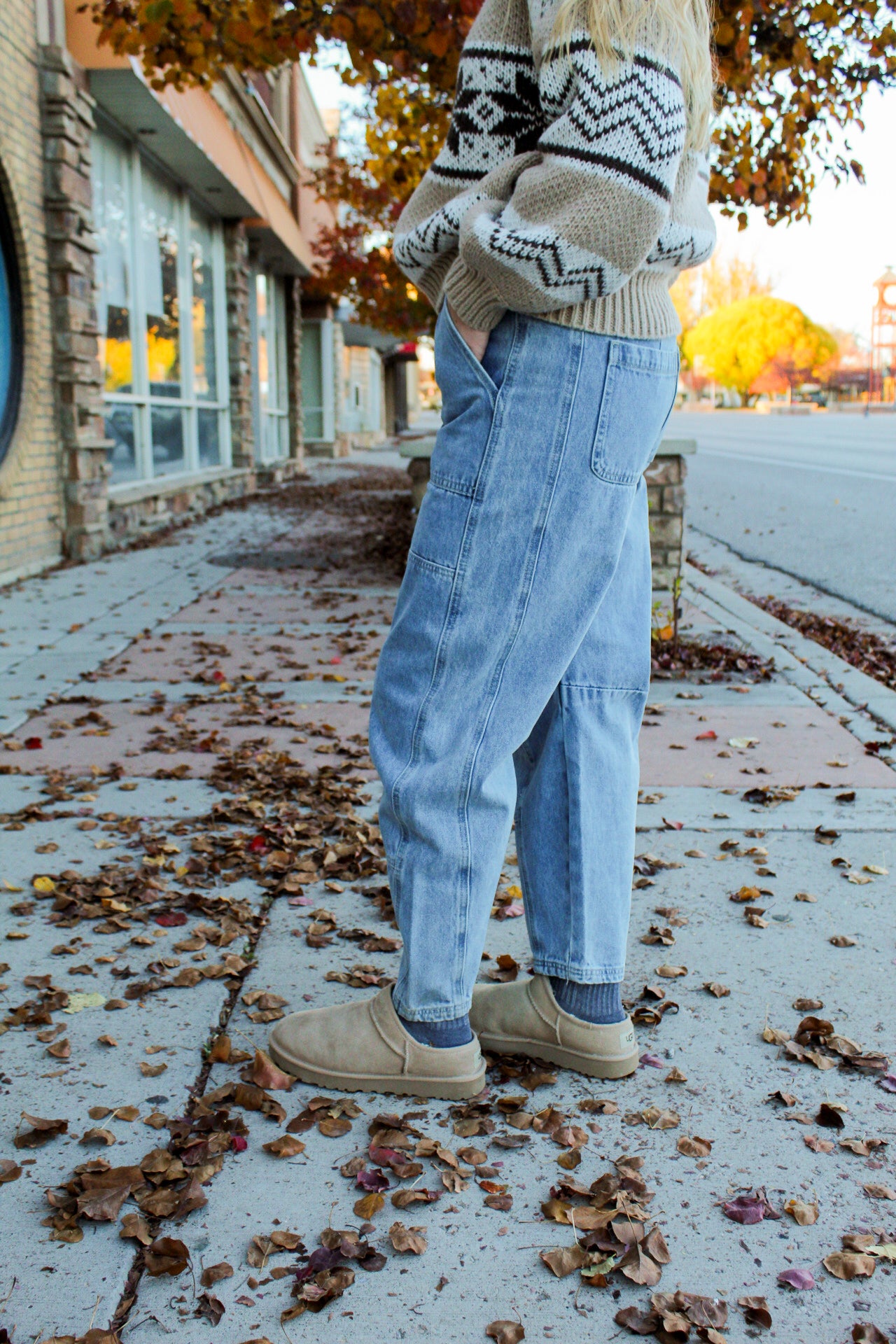 The Graycie Barrel Jeans
