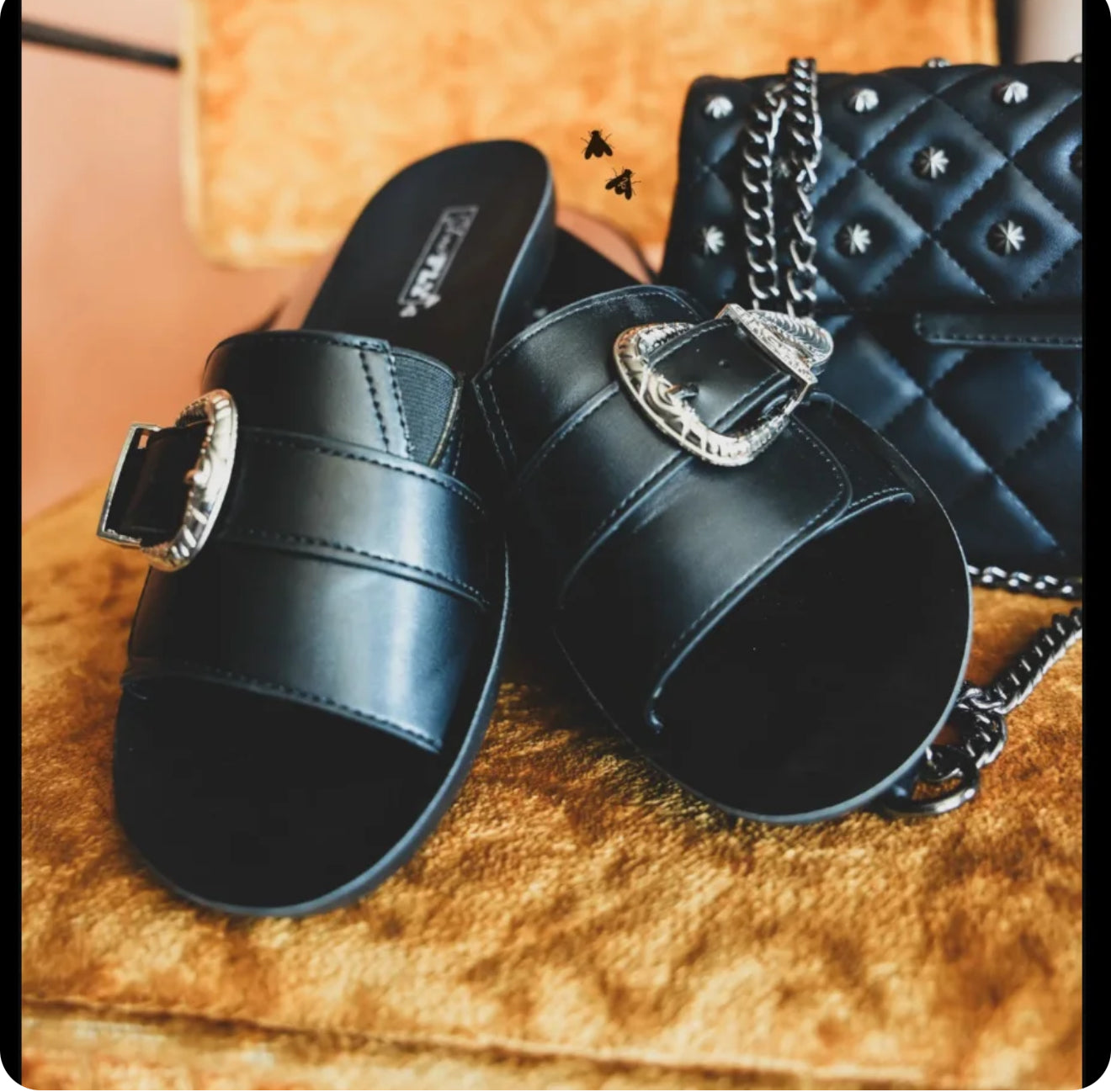 The Scout Slides
