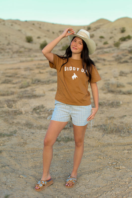 The Sonora Shorts