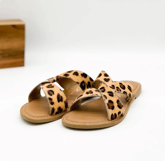 The Chezni Slides